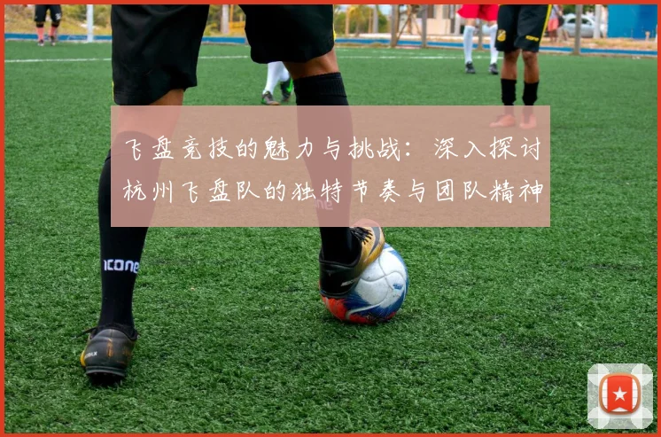 飞盘竞技的魅力与挑战：深入探讨杭州飞盘队的独特节奏与团队精神