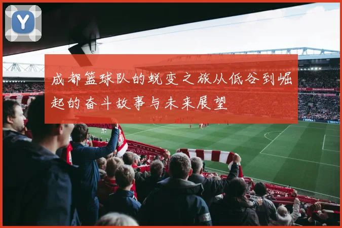 成都篮球队的蜕变之旅从低谷到崛起的奋斗故事与未来展望
