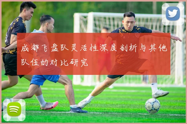 成都飞盘队灵活性深度剖析与其他队伍的对比研究